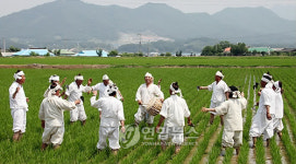 충주서 중원마수리농요 재현
