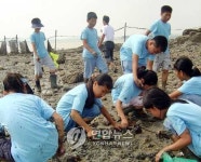 목포항만청 무안서 갯벌 생태교실
