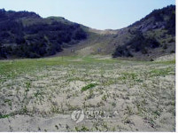 동양최대 신안 우이도 砂丘 비경 사라지나