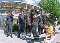 美 경찰 탐지견 효능 논란