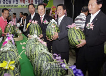 <게시판> 영암 도포농협 시설원예 품평회