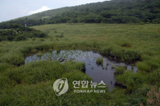 인제 대암산 용늪 보호 네트워크 구축