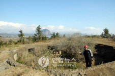 제주도 셋알오름 日帝 진지동굴 정비