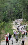대전 계족산 명품숲길 100리 2일 완공
