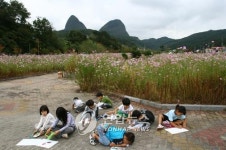 진안 마이산 명품 숲으로 조성된다