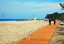 삼척해수욕장 함께 걸어요