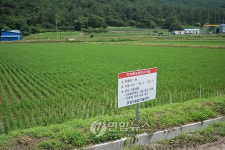 포항 성계들