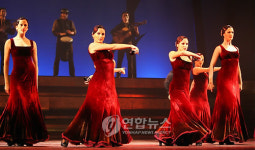 정열적인 플라멩코