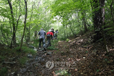 스토리가 있는 문화생태 탐방로 소백산 자락길