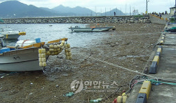 거제 능포항에 밀려온 낙동강 쓰레기