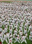 춘천국제태권도대회 2천431명 태극1장 도전