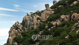 목재문화체험장 조성되는 고흥 마복산