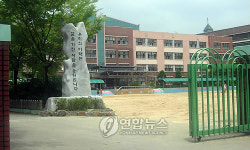 신종플루 양성 부천 초교, 조기 방학