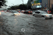 물바다된 부산도로