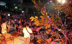 싱그러운 한 여름밤의 콘서트