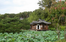 한여름의 선교장 활래정 풍경