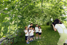 <카메라뉴스> 하천둔치 넝쿨터널 시원해요