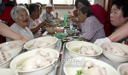 중복엔 역시 삼계탕