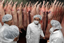 한총리 도축시설 방문