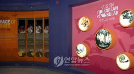 영월 고씨굴 동굴생태전시관 임시 개관