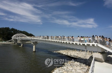 강릉 솔바람 다리 걸어요