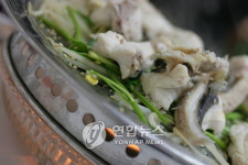 해남서 복요리 먹은 주민 6명 중독증세