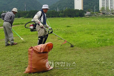 정선읍 희망을 나눠요