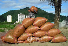 정선읍 희망을 나눠요