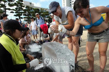 얼음조각에 푹 빠진 부산 광안리