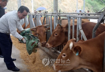 많이 먹고 잘자라거라