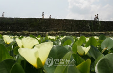 <Weekly Travel> 400년 전 시간 여행, 낙안읍성 민속마을