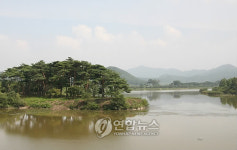 새 단장한 안동 백운정, 개호송 숲