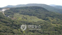 말라가는 울산 동대산 습지..희귀식물 어쩌나