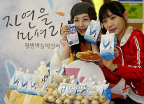 웰빙마늘막걸리 출시