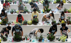 생활원예 고수를 찾아라