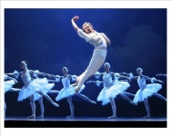 <인터뷰> 안무가 에이프만ㆍ발레리노 말라코프