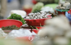  구불구불 700리 해안의 비경, 거제
