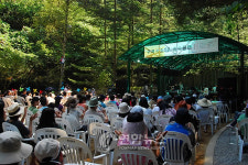 강촌 숲속에서 펼쳐지는 연주