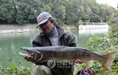 캐나다 BC주 연어가 사라졌다