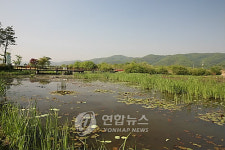 <경기도 강변살자>-⑤한강물 2천500만의 생명수