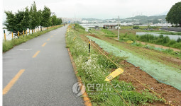 새롭게 정비되는 한강 충주선도지구