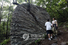 공주시 6개 문화 체육행사 다시 개최