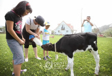 <Weekly Travel> 자연을 닮아가는 이색 체험, 은아목장