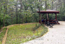 <카메라뉴스> 희망근로자가 만든 희망정