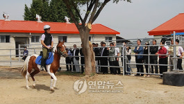 농진청 승마산업 연구용 승용마장 개장
