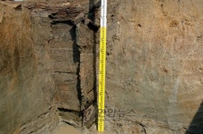 삼국시대 목조우물