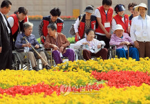 거동불편 홀몸노인 서울투어
