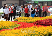 거동불편 홀몸노인 서울투어