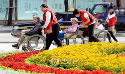 거동불편 홀몸노인 서울투어