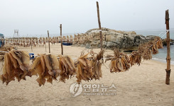 건어물중매인115호 | "추석에 쓸 건어물 말려요"